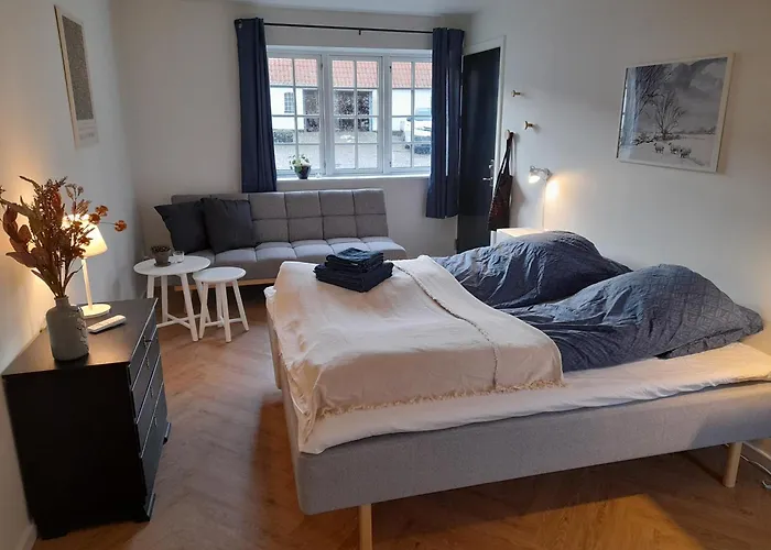 Mini-lejlighed Med Kokken - Delt Bad Og Toilet Med Nabolejlighed Apartment